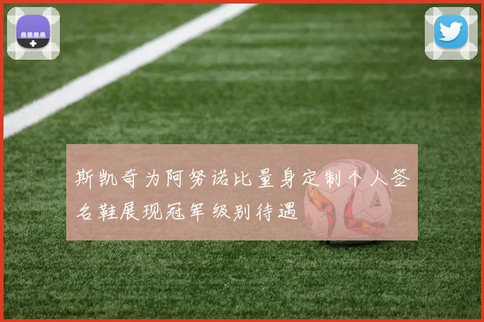 斯凯奇为阿努诺比量身定制个人签名鞋展现冠军级别待遇