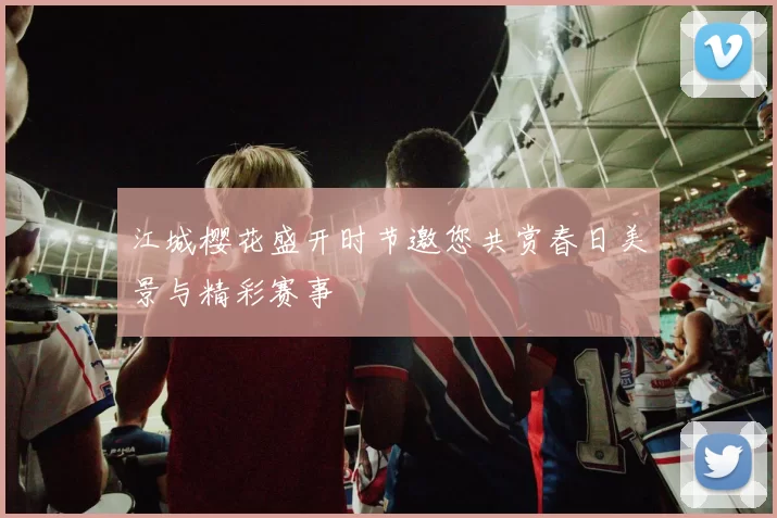 江城樱花盛开时节邀您共赏春日美景与精彩赛事
