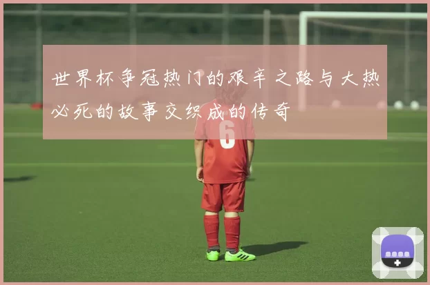 世界杯争冠热门的艰辛之路与大热必死的故事交织成的传奇